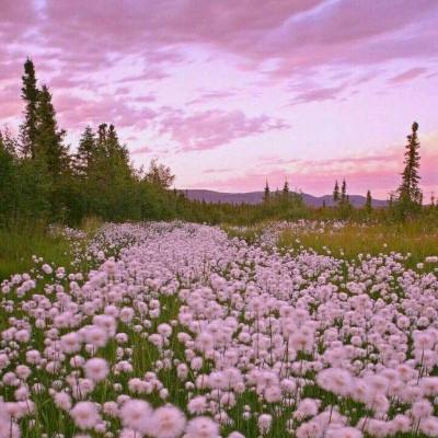 beat365手机版官方网站手机app下载